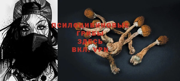 крисы Иноземцево